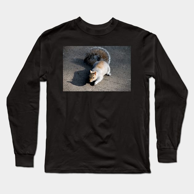 Mr Squirrel, pleased to meet you Long Sleeve T-Shirt by Ladymoose